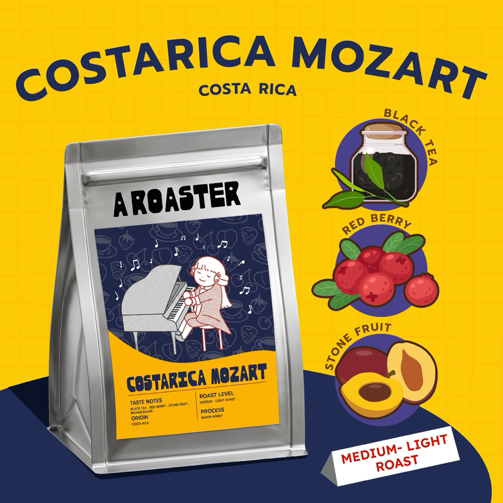 COSTA RICA MOZART เมล็ดกาแฟคั่วอ่อน Musician Series กาแฟ A Roaster