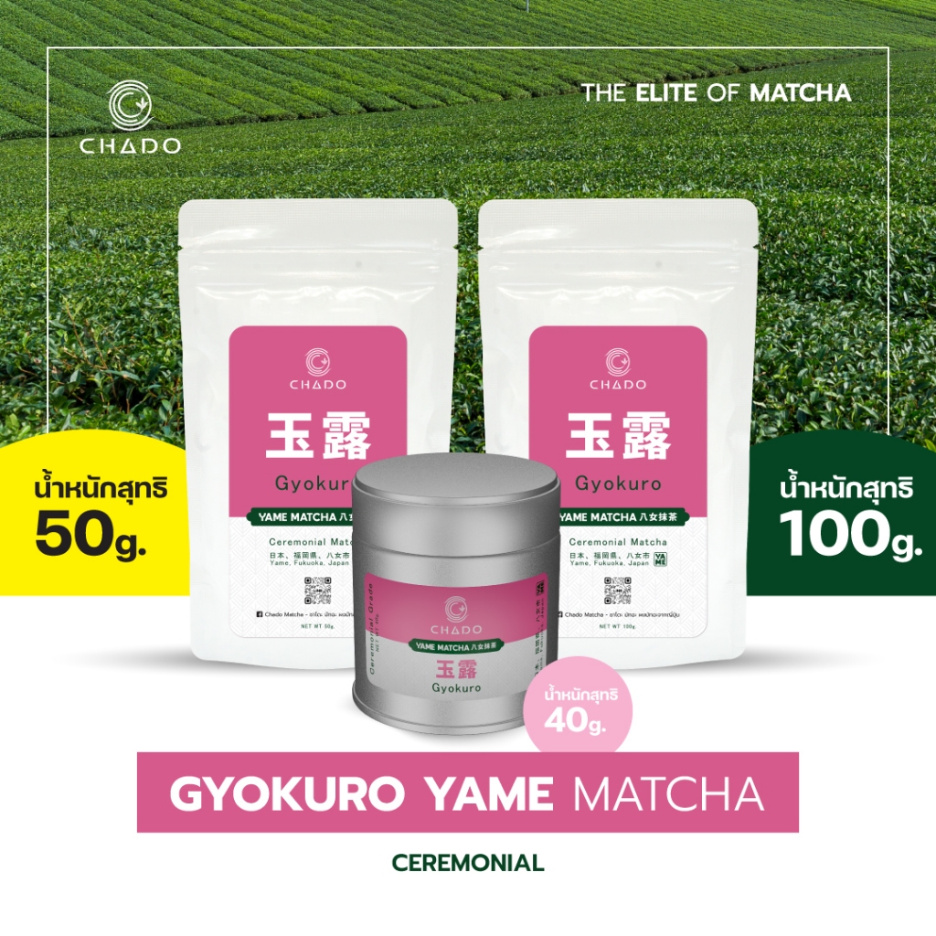 YAME MATCHA GYOKURO CEREMONIAL มัทฉะ เมืองยาเมะ