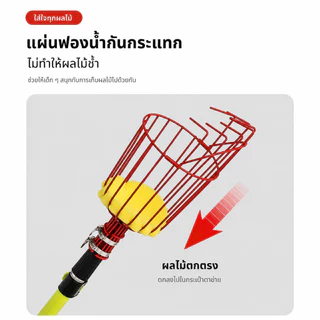 ที่สอยผลไม้ สามารถถอดออกได้ ตะกร้าลึก ที่สอยผลไม้ ฟองน้ำในตัวป้องกันผลไม้บอบช้ำ