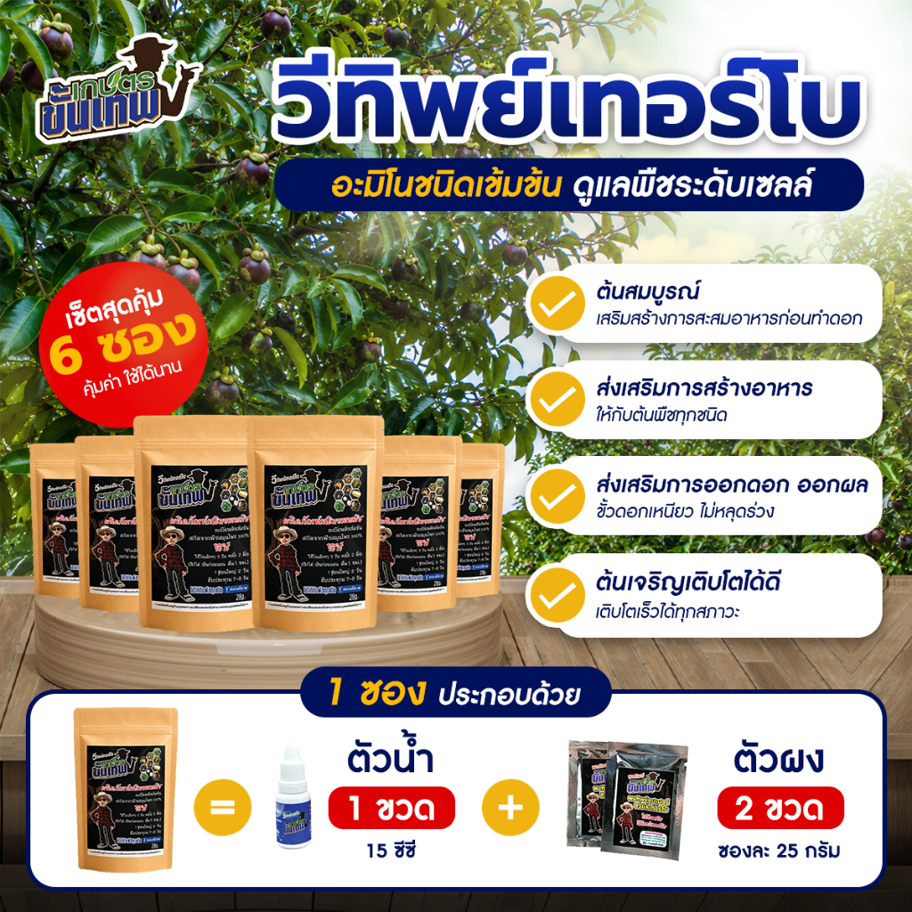 ปุ๋ยน้ำทางใบ วีทิพย์เทอร์โบ สูตรอะมิโนเข้มข้น ฉีดพ่นทางใบ 15cc ผสมน้ำ 200L ใช้แทนปุ๋ยทางดิน ดูดซึมดี