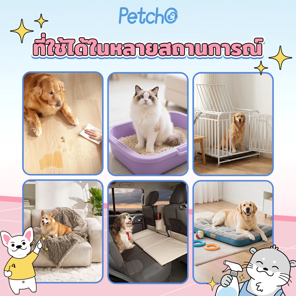 Petcho สเปรย์ดับกลิ่นสัตว์เลี้ยง ฉี่แมว ทรายแมว thumbnail 8