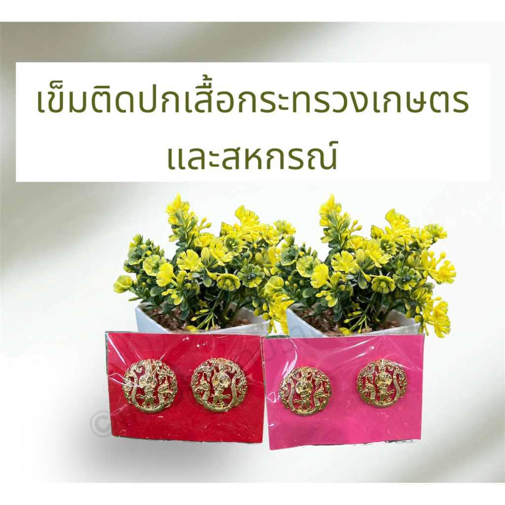 กนกคอ เข็มติดปกเสื้อกระทรวงเกษตรฯ งานแกะมือ
