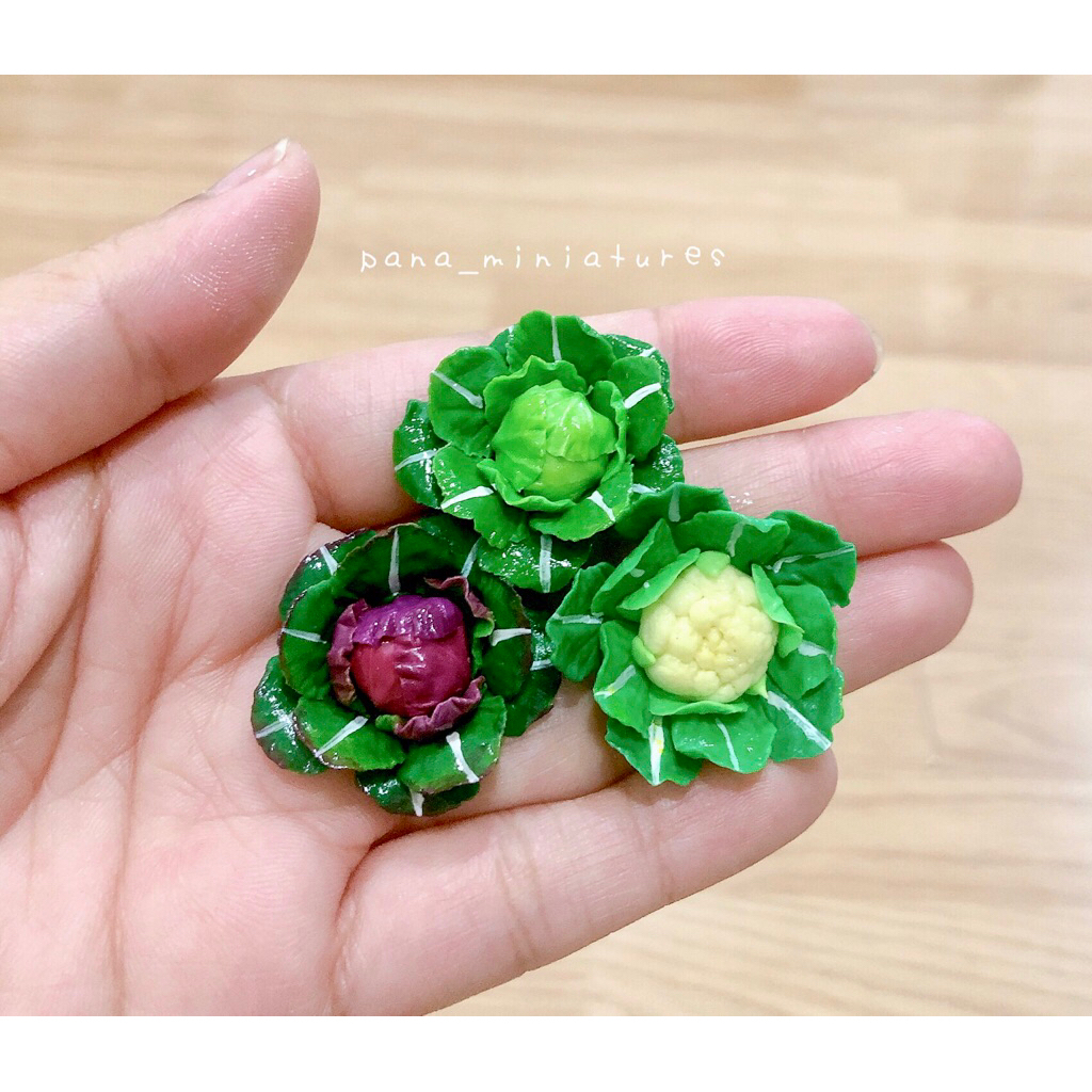 ดินปั้นผักกระหล่ำ สำหรับปลูกสวนจำลอง ขนาดต้น 2.8-3 cm. ราคา/ชิ้น