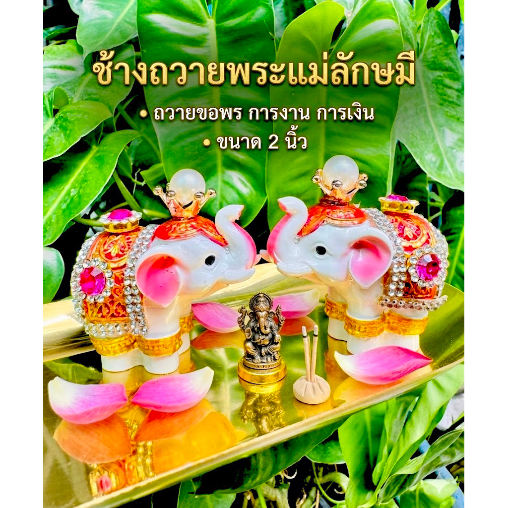 ส่งด่วน ☀️ ช้างพระแม่ลักษมี​ ​ ถวายขอพร​ การงาน​ การเงิน ราคาต่อตัว ขนาด 2 นิ้ว
