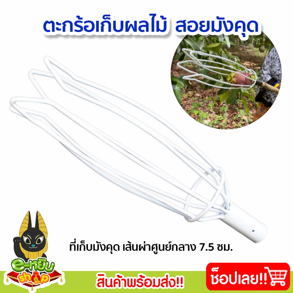 ตะกร้อสอยมังคุดสีขาว ที่สอยมังคุด PVC ตราค้างคาว ที่สอยผลไม้ ที่เก็บผลไม้