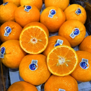 🇨🇳Oishi-fresh🦜🍊ส้มใต้หวัน S(70)หวานจัด หอมส้ม เปลือกร่อน รสชาติหวาน หอม กลิ่นส้ม สด ใหม่ ใยอาหารสูง เคลมได้ 1-2 วัน