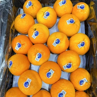 🇨🇳Oishi-fresh🦜🍊ส้มใต้หวัน S(70)หวานจัด หอมส้ม เปลือกร่อน รสชาติหวาน หอม กลิ่นส้ม สด ใหม่ ใยอาหารสูง เคลมได้ 1-2 วัน