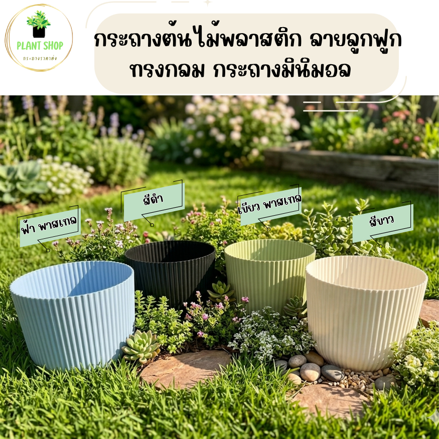 กระถางต้นไม้ กระถางมินิมอล ลายลูกฟูก ทรงกลม ขนาด 10 และ 12 นิ้ว  ออกแบบน่ารัก เหมาะแก่การตกแต่งบ้านและสวน