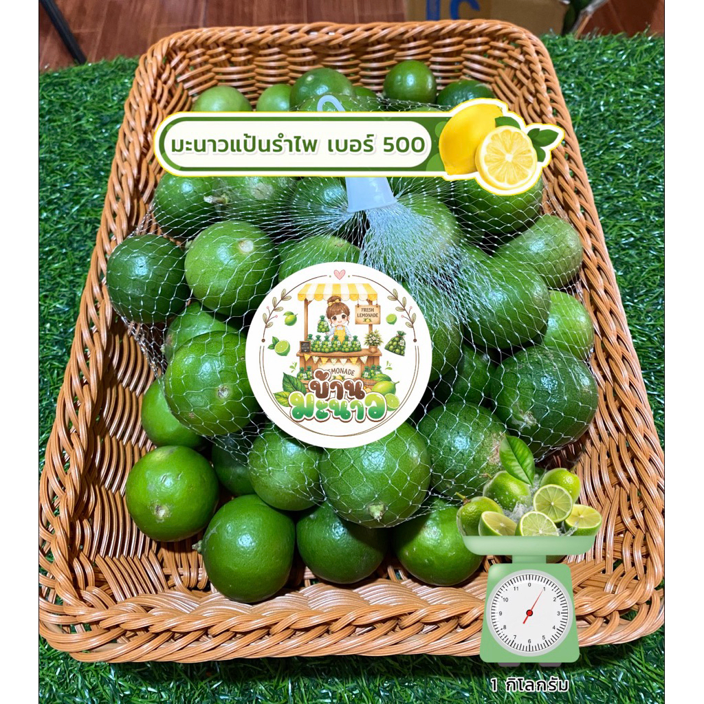#มะนาวแป้นรำไพแท้ 🍋 คัดเกรดเปลือกบางน้ำดี (เบอร์500)