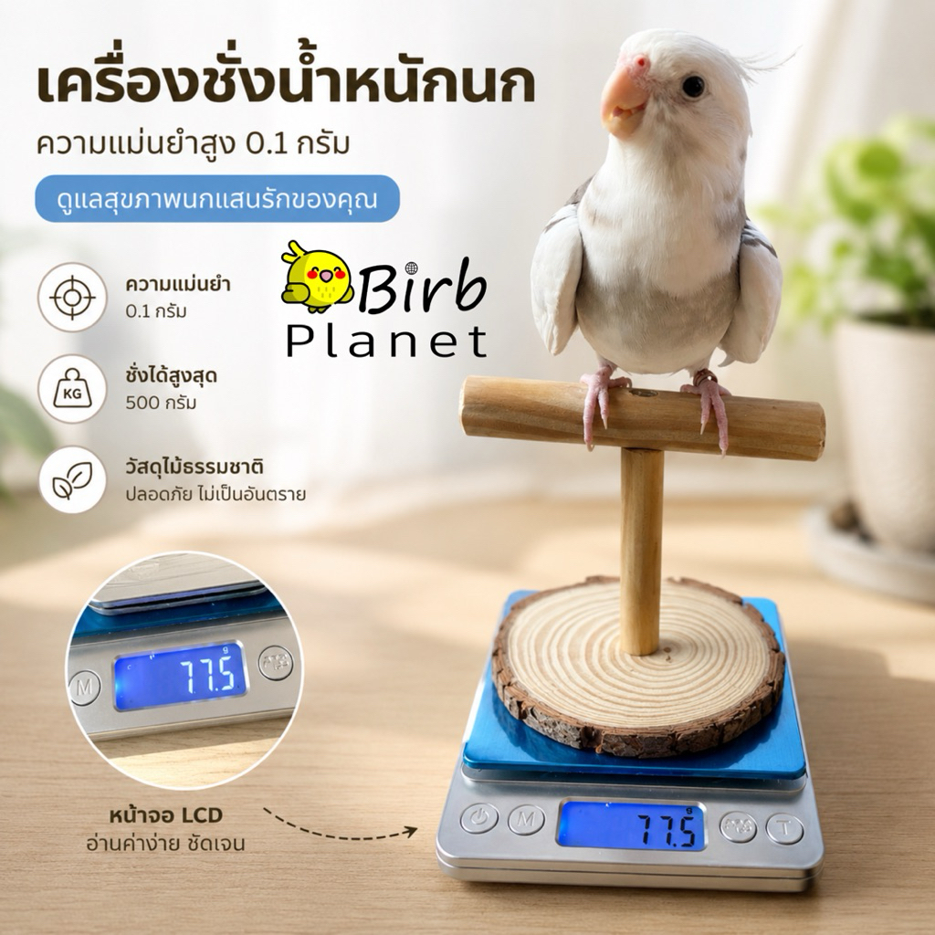 เครื่องชั่งน้ำหนักนก 0.1 กรัม พร้อมคอนยืนนก | ชั่งน้ำหนักนกแก้ว ฟอพัส หงส์หยก ค็อกคาเทล