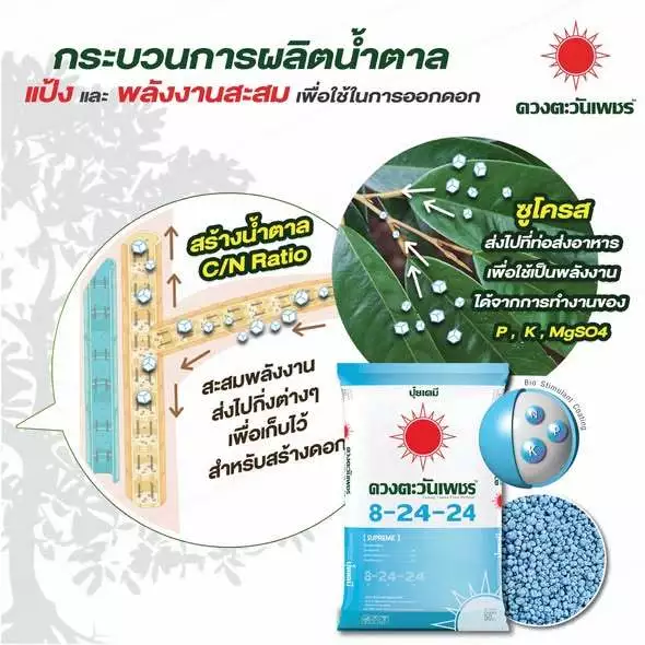 ปุ๋ย ดวงตะวันเพชร สูตร 8-24-24 ปุ๋ยคอมปาวด์ ขนาด 1 kg. ปุ๋ยเคมีเม็ดที่ให้ธาตุอาหารหลักครบถ้วน