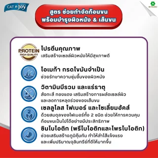 CAT n joy อาหารแมว สูตรกำจัดก้อนขนและบำรุงขน สำหรับแมวโต 1 ปีขึ้นไป รสแซลมอน ขนาด 400 กรัม