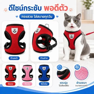 PETWELL สายรัดอกแมวพร้อมสายจูง สายรัดอกสุนัข ระบายอากาศได้ดี สำหรับแมวและสุนัขตัวเล็ก