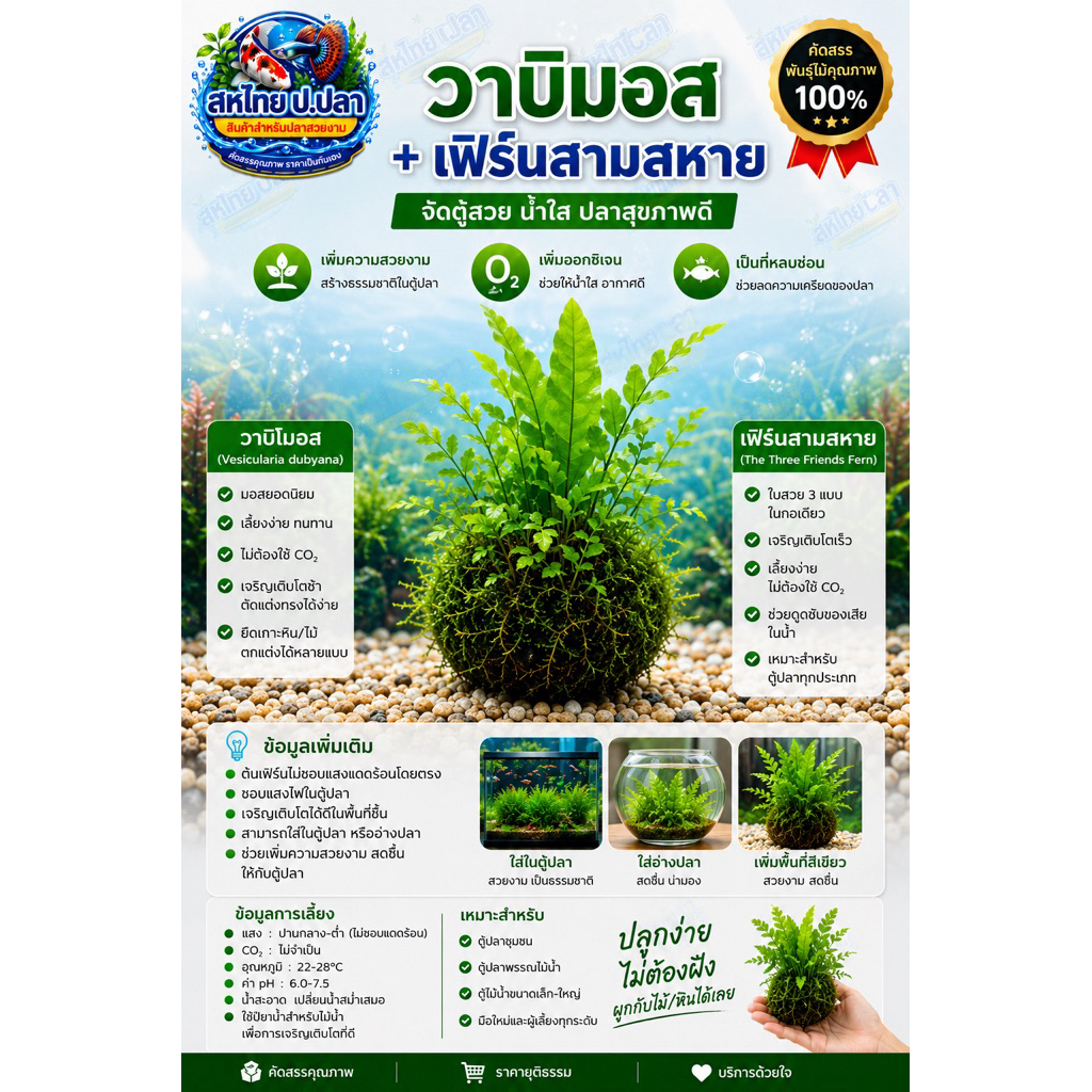 วาบิมอส + เฟิร์นสามสหาย  จัดตู้สวย เพิ่มความสดชื่น สไตล์ธรรมชาติในก้อนเดียว! **อ่านข้อมูลก่อนสั่งซื้อ**