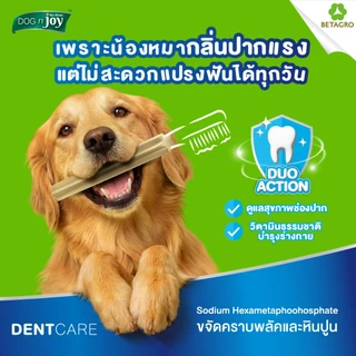 DOG n joy ด็อก เอ็นจอย ขนมสุนัขขัดฟัน เสริมวิตามิน Dent Care สำหรับสุนัขทุกวัย 10 ชิ้น (เลือกรสชาติและขนาดได้)