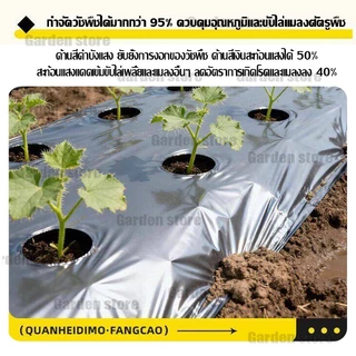 🌱พลาสติกคลุมดิน 1ม.x400หลา(360ม) ผ้ายางคลุมดิน เจาะรูเดี่ยว 1แถว ผ้ายางคลุมวัชพืช ผ้ายางคลุมแปลงผัก