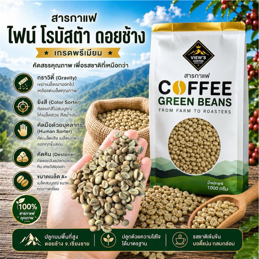 📌สารกาแฟไฟน์โรบัสต้าดอยช้าง/Fine Robusta Doi Chang Green Bean คัดพิเศษ4ขั้นตอน Premium Fine Robusta[Natural Process]