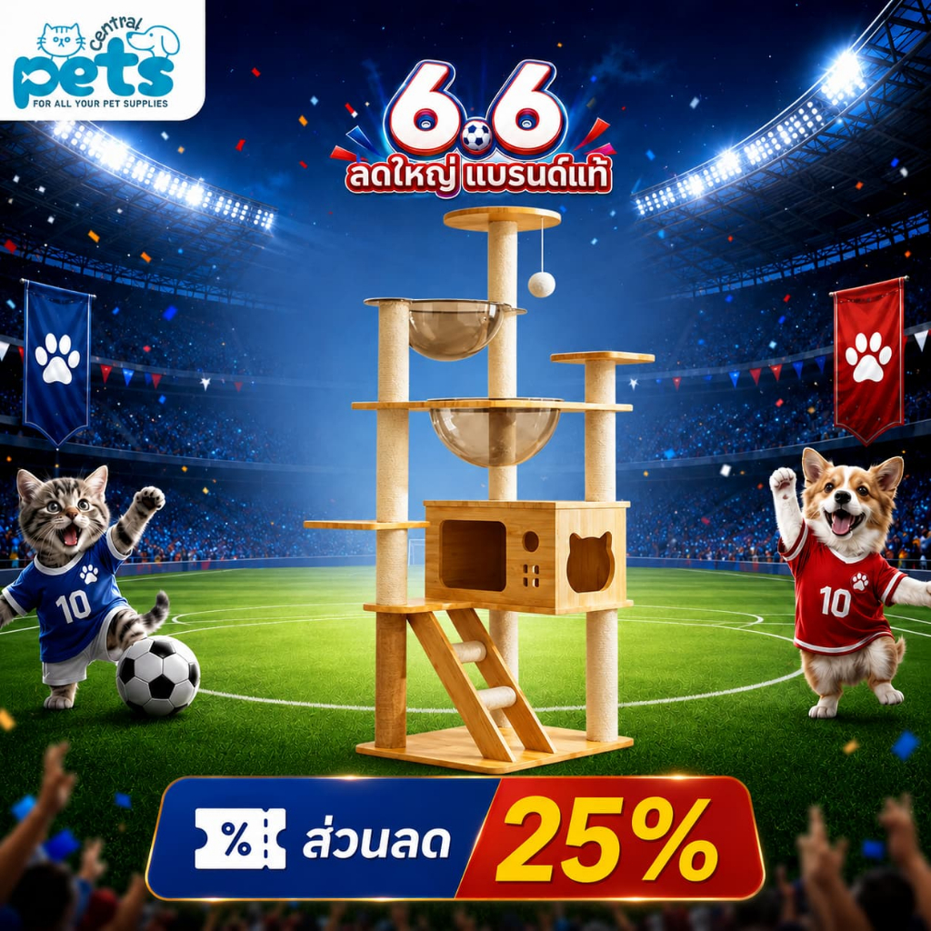 [ลดเหลือ 829] คอนโดแมวไม้เกรดพรีเมียม ปีนป่าย แข็งแรง พร้อมเสาลับเล็บ สำหรับแมวทุกสายพันธุ์ Cat Tree