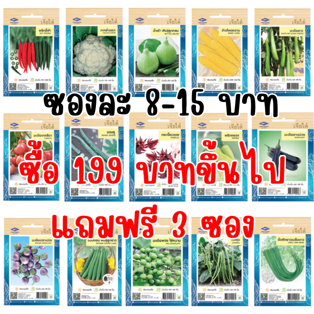 เมล็ดผักเจียไต๋ OP ของแท้ ซองละ 8-15 บาท ซื้อยอด 99 บาทขึ้นไปแถมฟรี 1 ซอง thumbnail 5
