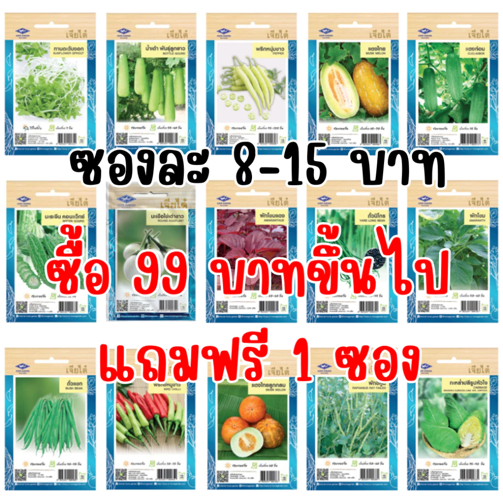 เมล็ดผักเจียไต๋ OP ของแท้ ซองละ 8-15 บาท ซื้อยอด 99 บาทขึ้นไปแถมฟรี 1 ซอง thumbnail 7