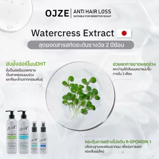 OJZE Anti Hair Loss Conditioner 250ml ครีมนวดลดผมร่วง