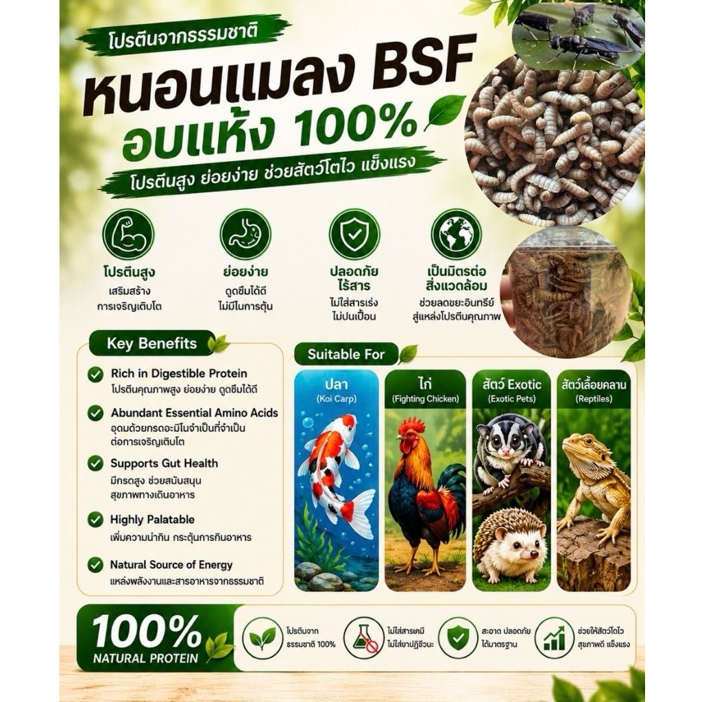 หนอนแมลง BSF อบแห้ง หนอนอบแห้งสำหรับสัตว์เลี้ยง หนอน BSF