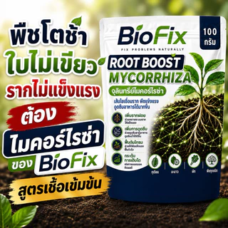 BioFix Root Boost จุลินทรีย์ไมคอร์ไรซ่า (Mycorrhiza) สูตรเข้มข้น เร่งราก ฟื้นต้น ดูดซึมดี ไมคอร์ไรซ่า 100 g.