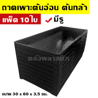 ถาดเพาะกล้าต้นอ่อน (แพ็ค 5-10ใบ) -มีรู- ใช้เพาะต้นอ่อนทานตะวัน เพาะต้นกล้าผัก เพาะต้นอ่อน - 0TPG