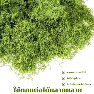 มอสปลอมสีเขียวธรรมชาติ ขนาด 1x1 เมตร ใช้งานง่าย ตัดแต่งได้ตามต้องการ เหมาะกับงาน DIY ถ่ายภาพสินค้า และจัดสวน