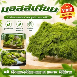 มอสปลอมสีเขียวธรรมชาติ ขนาด 1x1 เมตร ใช้งานง่าย ตัดแต่งได้ตามต้องการ เหมาะกับงาน DIY ถ่ายภาพสินค้า และจัดสวน
