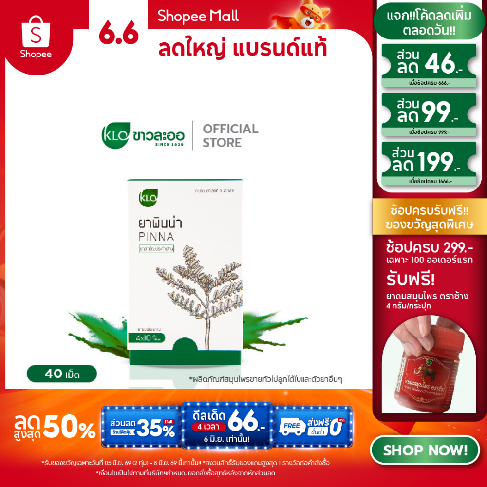 Khaolaor ขาวละออ พินน่า ลูกใต้ใบชนิดเม็ด ยาสามัญประจำบ้าน 40 เม็ด/กล่อง