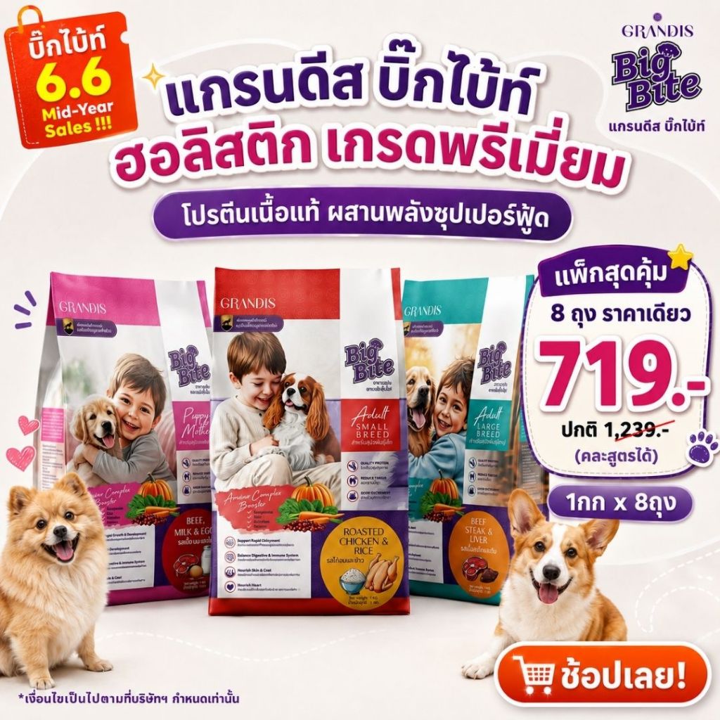 [สุดคุ้ม 8ถุง ราคาเดียว] อาหารสุนัข แกรนดีสบิ๊กไบ้ท์ 1kg ฮอลิสติก เกรดพรีเมี่ยม GRANDIS BIGBITE
