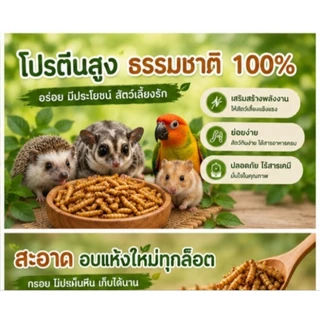 BSF อบแห้ง ✨ส่งด่วน✨หนอนแมลงวันอบแห้ง ขนาด 50-250