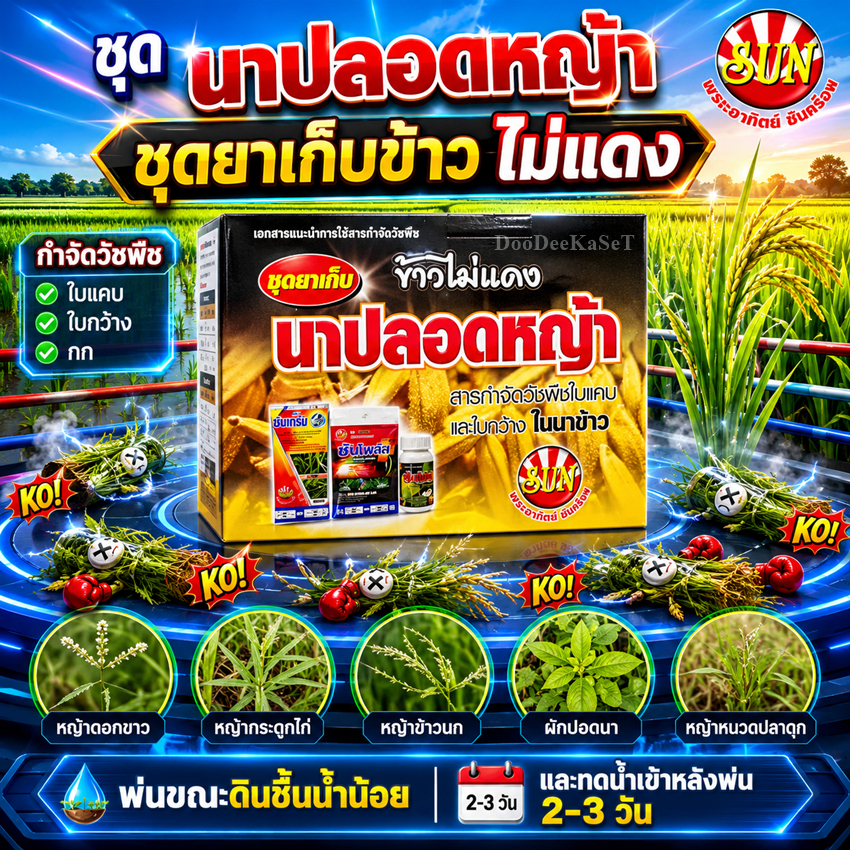 ชุดนาปลอดหญ้า กำจัดหญ้า 15-30 วัน ในนาข้าว เช่น หญ้าข้าวนก หญ้ากระดูกไก่ หญ้าดอกขาว หญ้าสลาง หนวดปลาดุก
