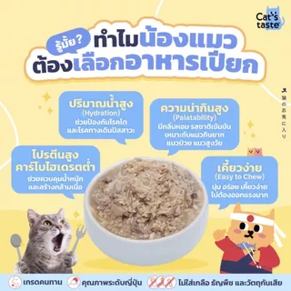 [ยกกล่อง 12ซอง] อาหารแมว Cat's Taste อาหารเปียกแมว แคทเทสต์ ทูน่า ในเยลลี่ 70g
