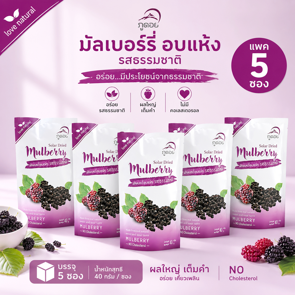 ลูกหม่อนอบแห้ง มัลเบอรี่ Mulberry dried fruit ภูดอย  สูตรหวานน้อย ไม่ใส่วัตถุกันเสีย สินค้าไทย100%(แพค5ซอง)