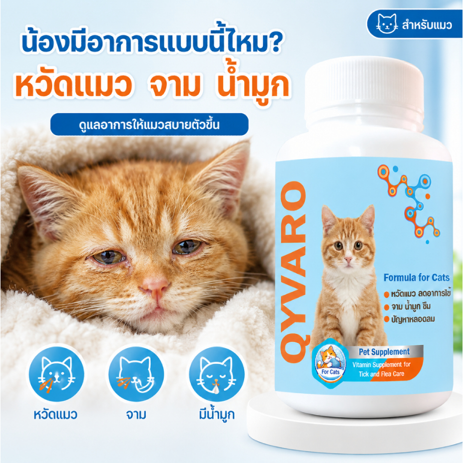 Qyvaro ดูแลหวัดแมว ไอ จาม น้ำมูกไหล เจ็บคอ ตาเจ็บ สร้างภูมิคุ้มกัน ระบบหายใจ ปลอดภัย 10 เม็ด