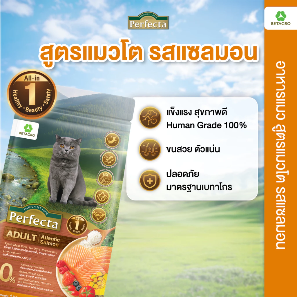 Perfecta อาหารแมว เกรดพรีเมี่ยม แมวโต อายุ 1 ปี ขึ้นไป สูตรแซลมอน เนื้อสดแท้ Human grade ขนาด 3 กก.