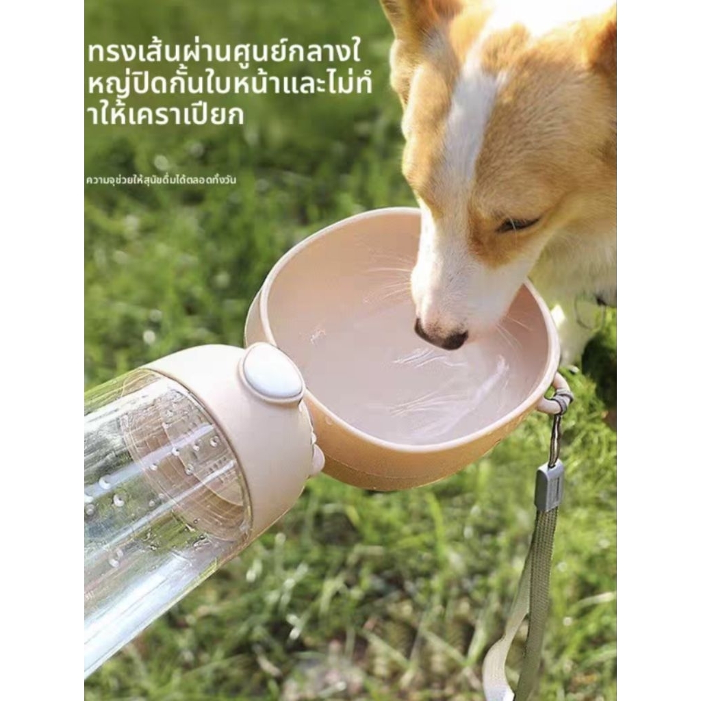 🐱ขวดน้ำหมา/แมวแบบพกพา🐶