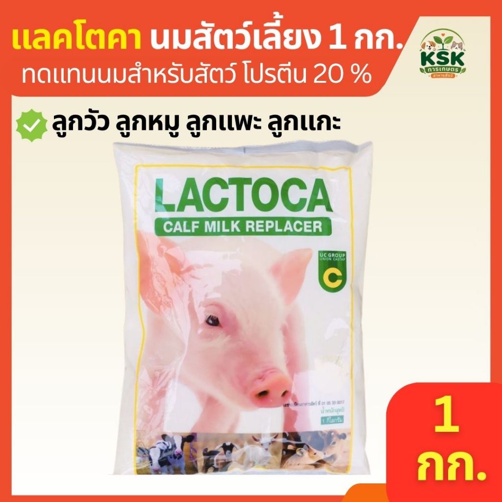 ส่งไว🔥 นมสัตว์เลี้ยง Lactoca แลคโตคา อาหารแทนนมสำหรับสัตว์ นมลูกวัว นมลูกหมู 1 กก.