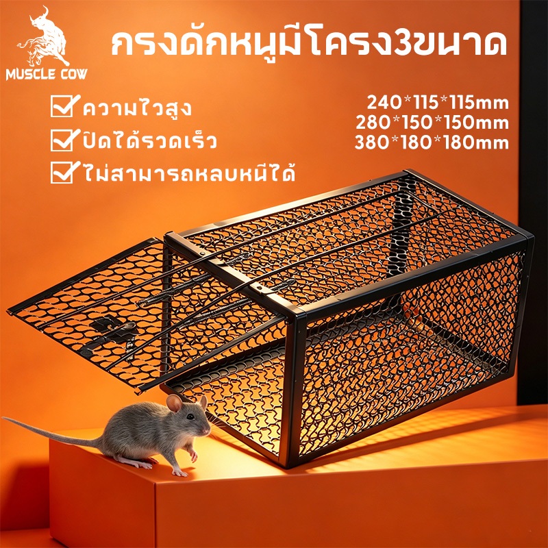 MUSCLE COW กรงดักหนูอเนกประสงค์ 3 ขนาด เหมาะสำหรับบ้านเรือน ติดตั้งง่าย