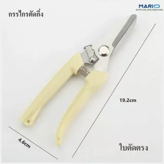 กรรไกรตัดกิ่งไม้สแตนเลส ใบมีดคม ใช้งานสะดวก