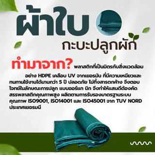 【สินค้าพร้อมส่ง】กระบะปลูกผักสวนครัว แปลงปลูกผัก ขนาด​ 60x200x30 cm แปลงผักเพาะปลูก กะบะเพาะปลูก