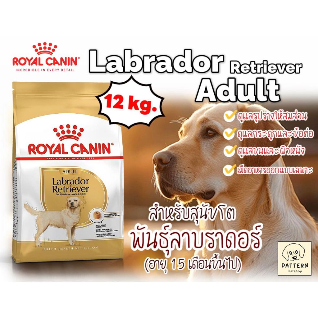 Royal Canin Labrador Retriever Adult 12 kg.สำหรับสุนัขโตพันธุ์ลาบราดอร์ รีทรีฟเวอร์อายุ 15 เดือนขึ้นไป