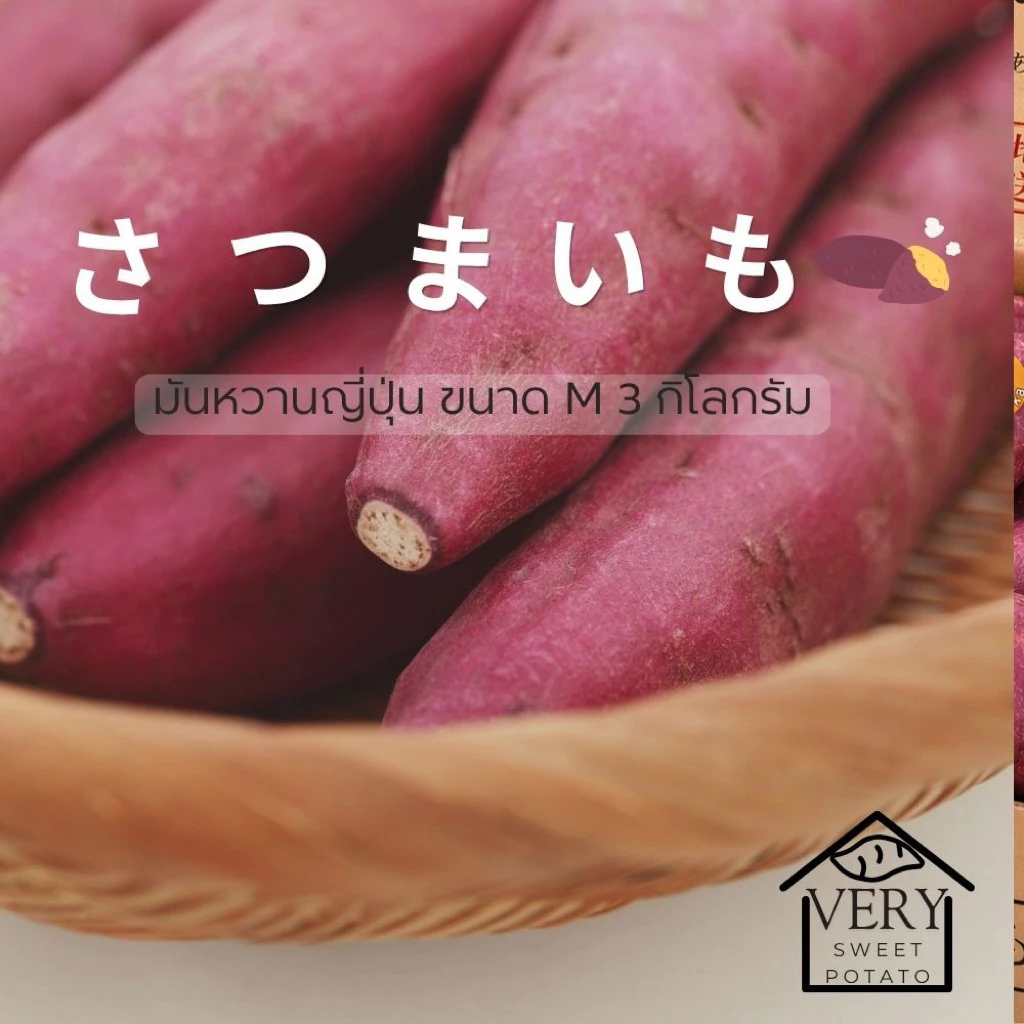 มันหวานญี่ปุ่นแบบดิบ ขนาด M - 3 กิโลกรัม สายพันธุ์เบนิฮารุกะแท้ ปลูกญี่ปุ่น