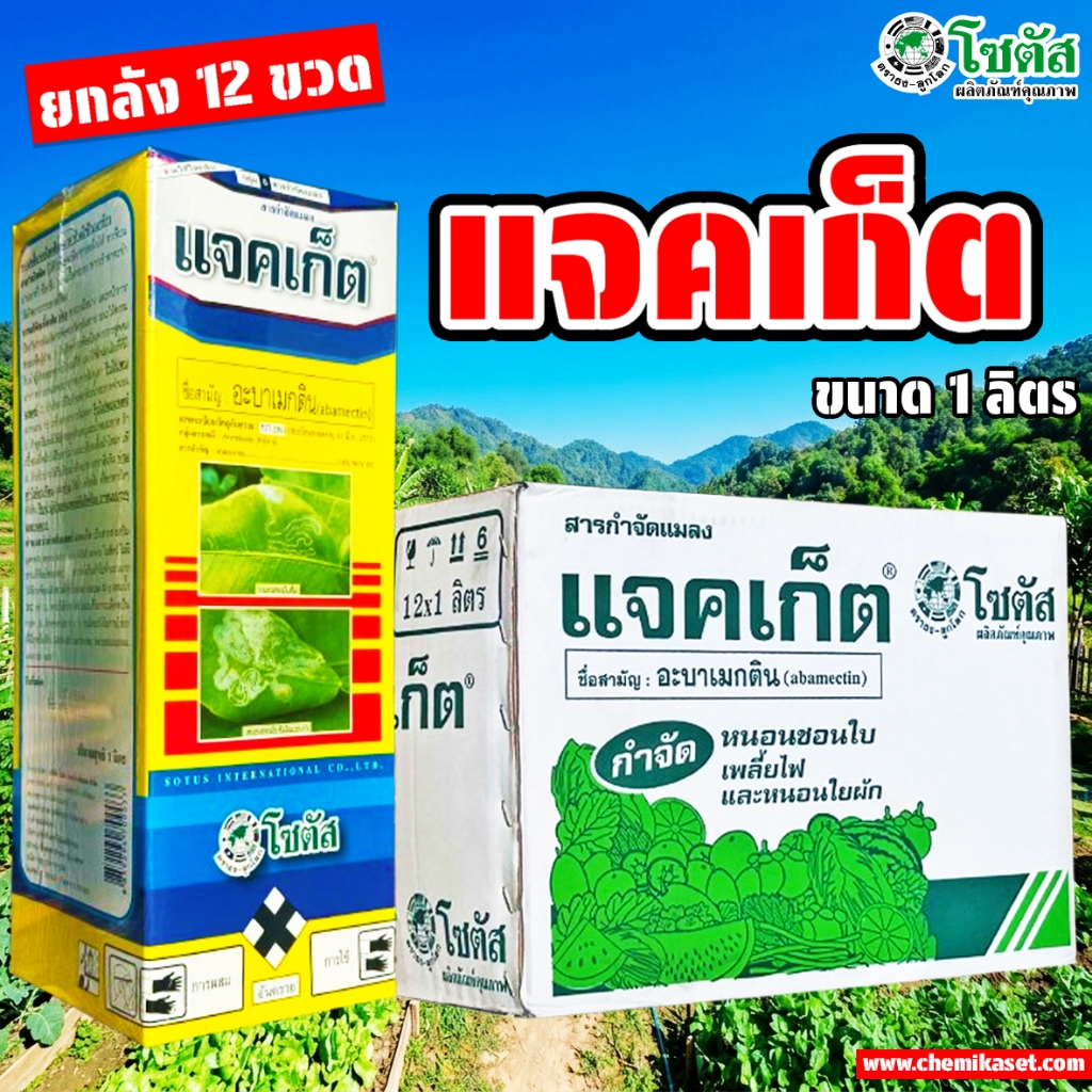 (ยกลัง12ขวด) แจคเก็ต อะบาเมกติน 1.8% EC ขนาด 1 ลิตร บริษัทโซตัส