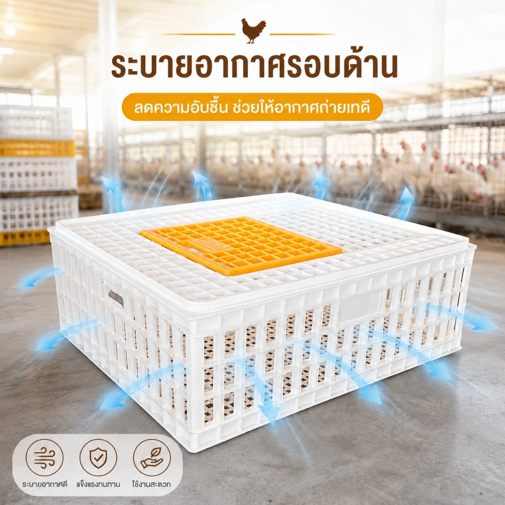 กล่องขนย้ายไก่ ตะกร้าพลาสติกฟาร์มสัตว์ปีก แข็งแรง รูปที่ 6