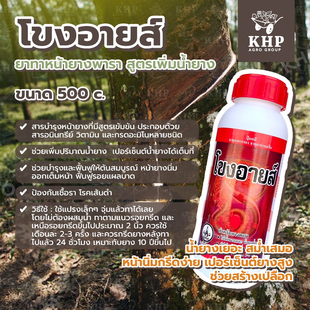 โขงอายส์ ยาเร่งน้ำยาง สูตรเข้มข้น ล่าสุด! บำรุงหน้ายาง น้ำยางออกดีมาก กรีดง่าย ต้นไม่โทรม ของแท้ 100% ขนาด 500 cc.