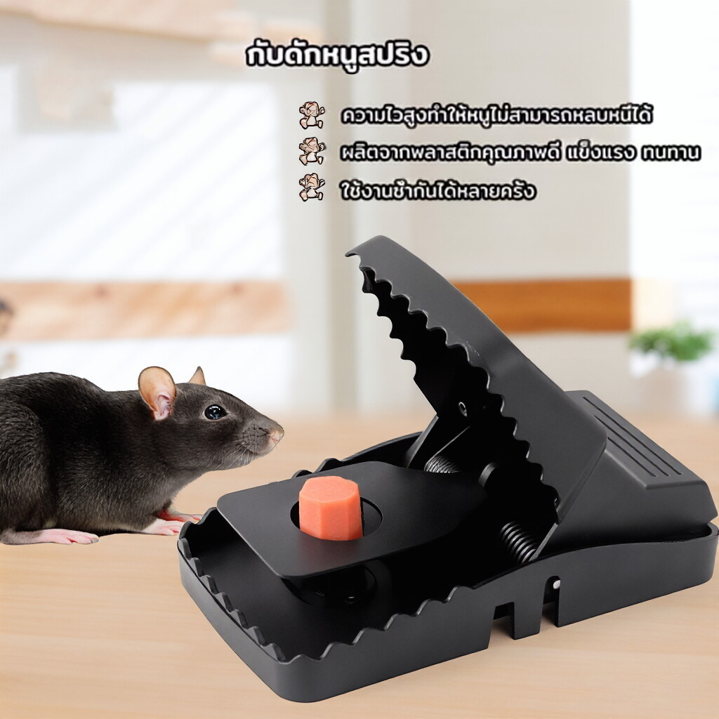 AuraLife ที่ดักหนู แบบสปริง อุปกรณ์ดักหนู เหยื่อดักหนู สารกำจัดหนู กับดักหนูสปริง mouse traps ใช้ซ้ำได้ ความไวสูง