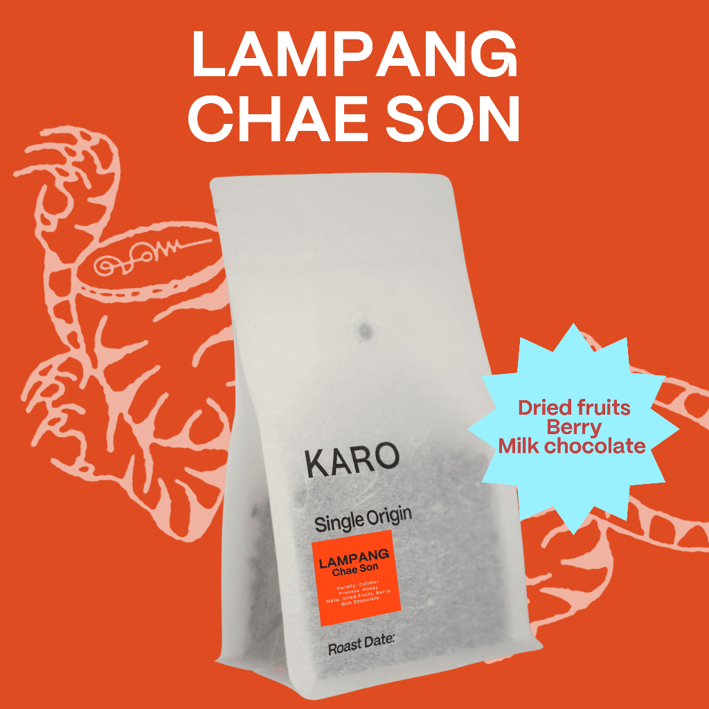 Karo Single Origin Coffee beans - เมล็ดกาแฟคั่วอ่อน Lampang Chae Son (Dried fruits, Berry, Milk chocolate)